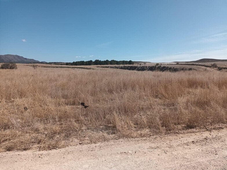 Terreno en Lorca en venta - Vista aérea - Imagen 1 de 9