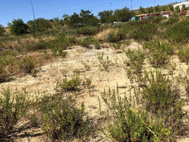 Calle José María Azcona, 9-11, Tafalla, Navarre en venta - Otros - Imagen 2 de 3