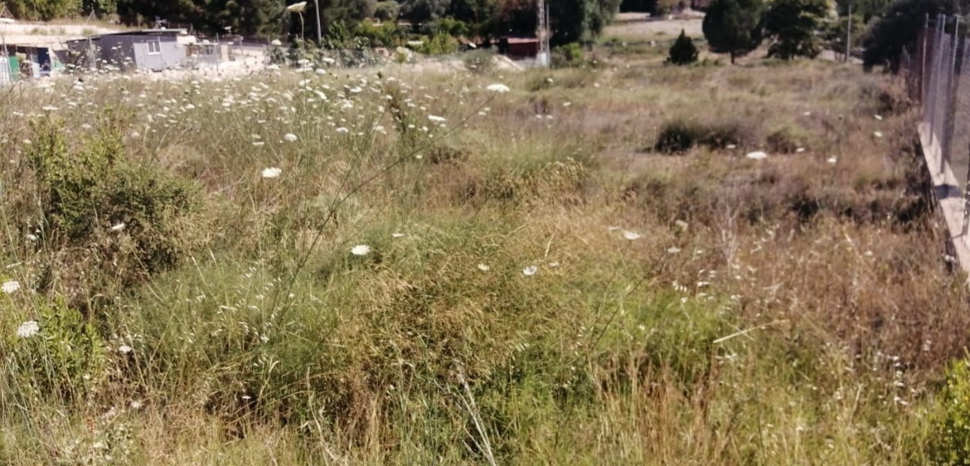 Terreno en Molina de Segura, Murcia en venta Plano del sitio- Imagen 1 de 9