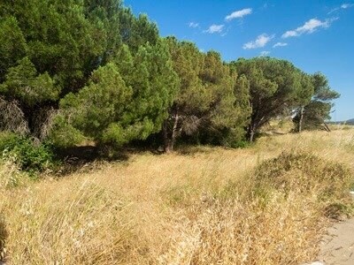 Carrer dels Boters, 25, L'Escala, Gerona en venta - Foto del edificio - Imagen 3 de 3