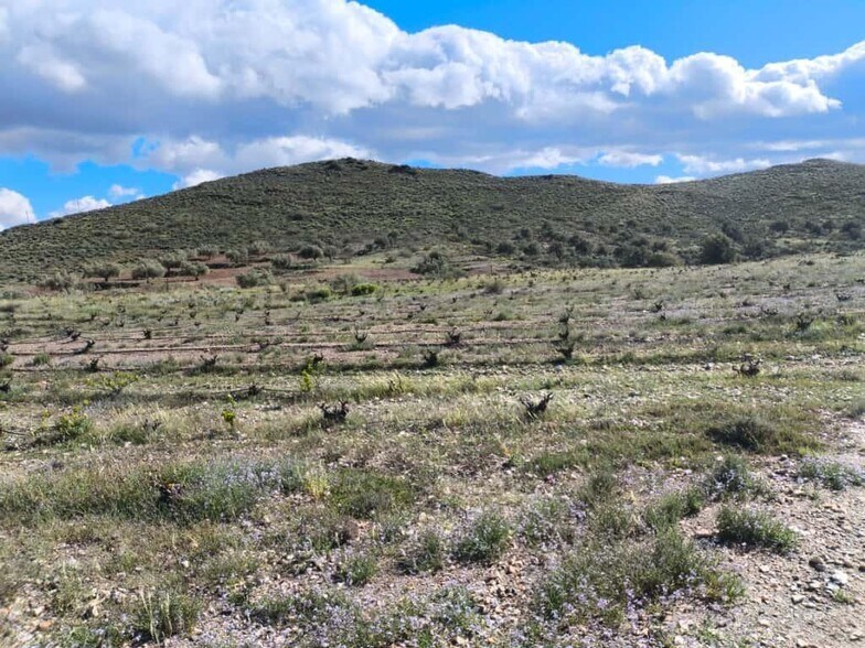 Terreno en Alboloduy en venta - Vista aérea - Imagen 3 de 9