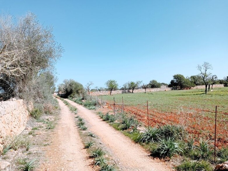 Terreno en Santanyí, Islas Baleares en venta - Foto del edificio - Imagen 2 de 4