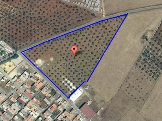 Terreno en Puerto Serrano, Cádiz en venta Foto del edificio- Imagen 1 de 19