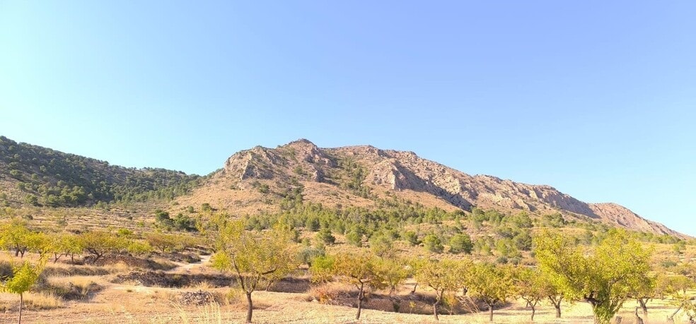 Terreno en Algueña, Alicante en venta - Foto del edificio - Imagen 3 de 4