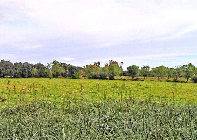 Más detalles de Terreno en venta