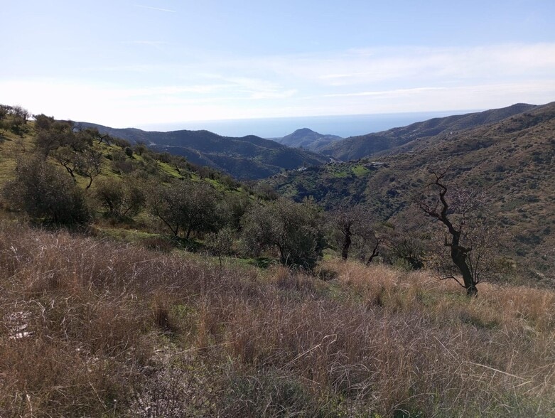 Totalán, 47, Málaga, Málaga en venta - Vista aérea - Imagen 2 de 19