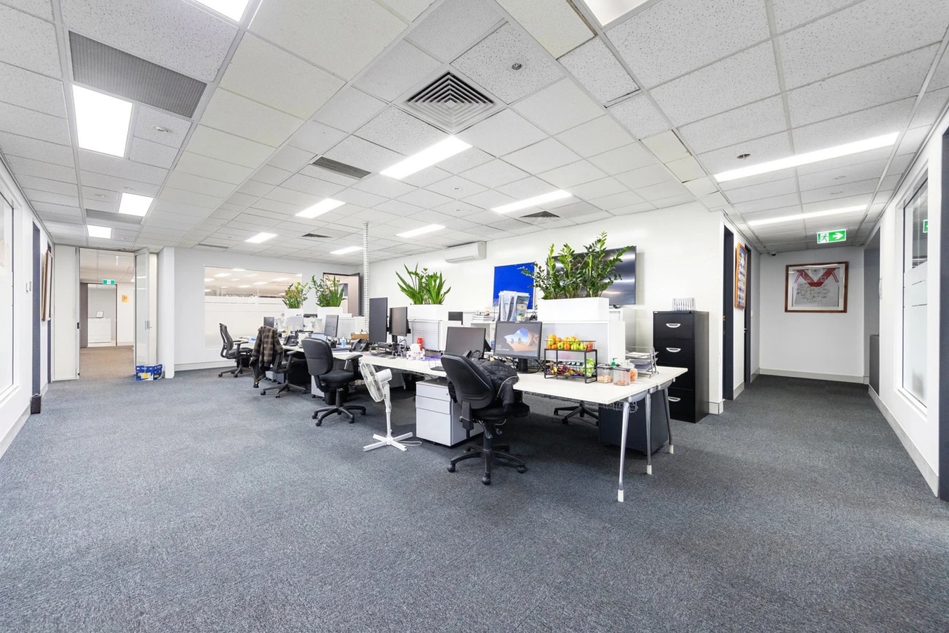 4 Charles St, Petersham, NSW 2049 - Unidad 4 - - Foto del interior - Image 2 of 11