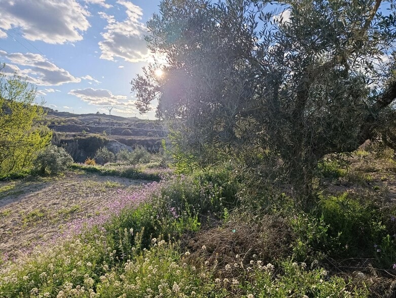 Terreno en Cehegín, Murcia en venta - Foto del edificio - Imagen 2 de 6