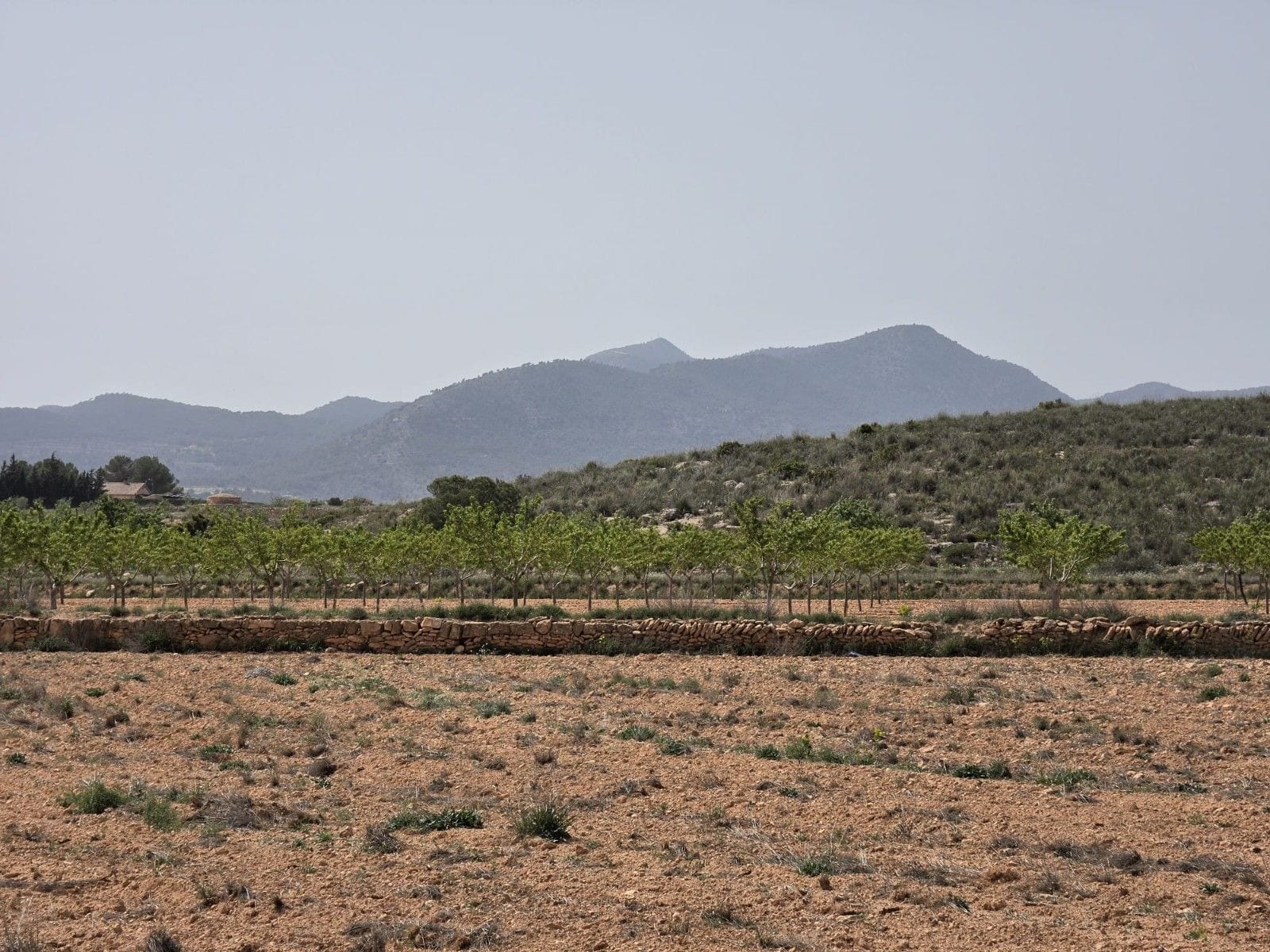 Terreno en PINOSO, Alicante en venta Vista aérea- Imagen 1 de 14