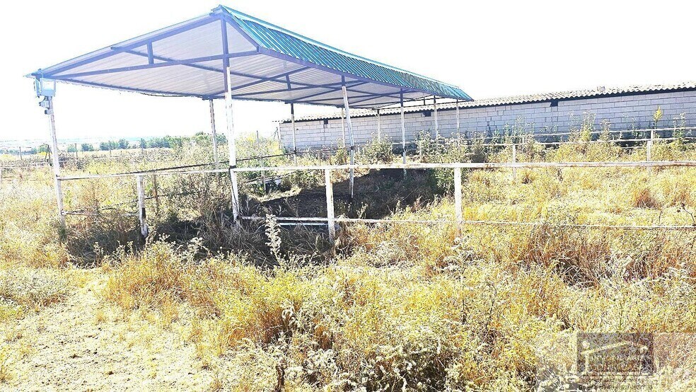 Terreno en Talamanca de Jarama, Madrid en venta - Foto del edificio - Imagen 2 de 10