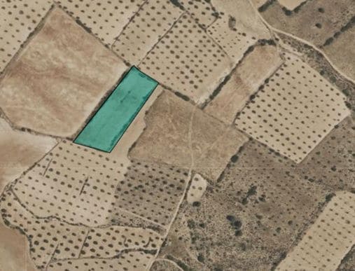 Terreno en Yecla, Murcia en venta - Plano del sitio - Imagen 3 de 3
