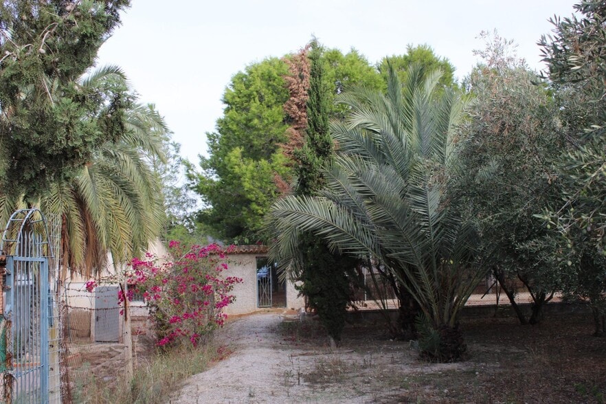 Terreno en Molina de Segura, Murcia en venta - Foto del edificio - Imagen 1 de 14