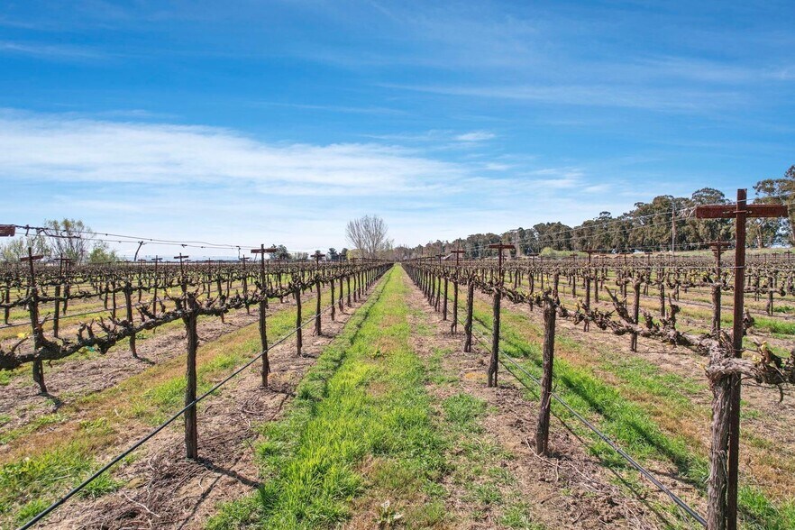 16550 CA-160, Isleton, CA en venta - Foto del edificio - Imagen 3 de 25