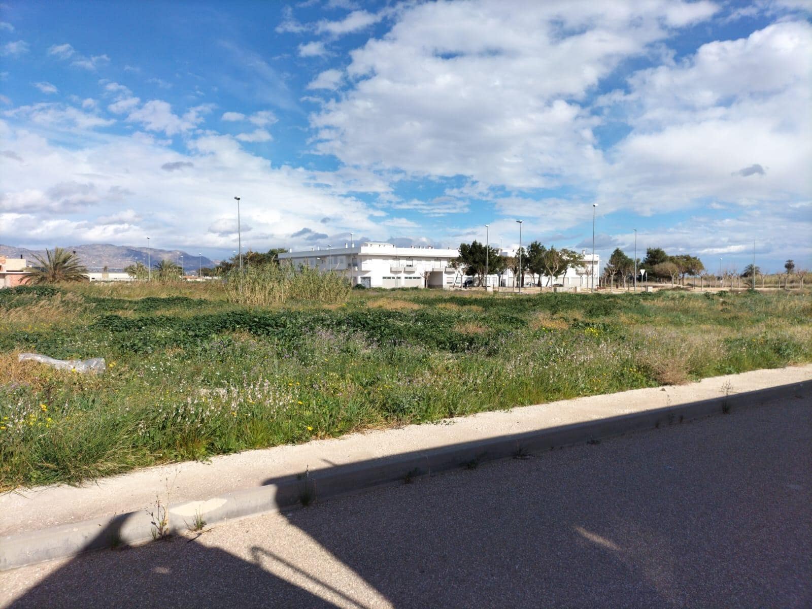 Terreno en Cox, Alicante en venta Foto del edificio- Imagen 1 de 5