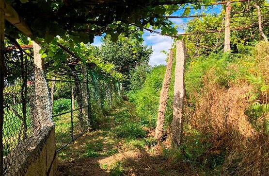 Camiño Pumariños, S/N, Vigo, Pontevedra en venta - Foto del edificio - Imagen 2 de 4