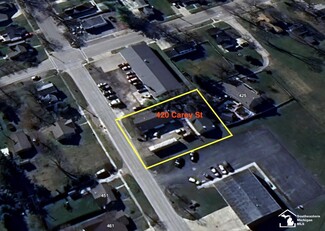 Más detalles para 420-440 Carey St, Deerfield, MI - Naves en venta