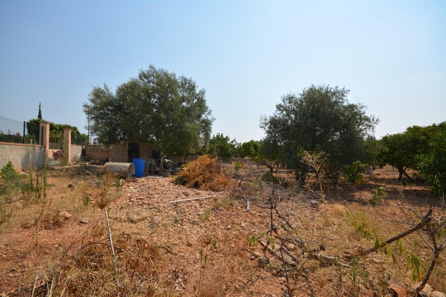 Terreno en Marratxí, Islas Baleares en venta - Foto del edificio - Imagen 1 de 18