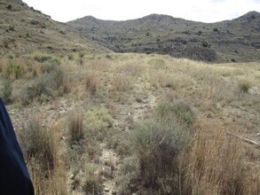 Aspe, ALI - Aérea  vista de mapa