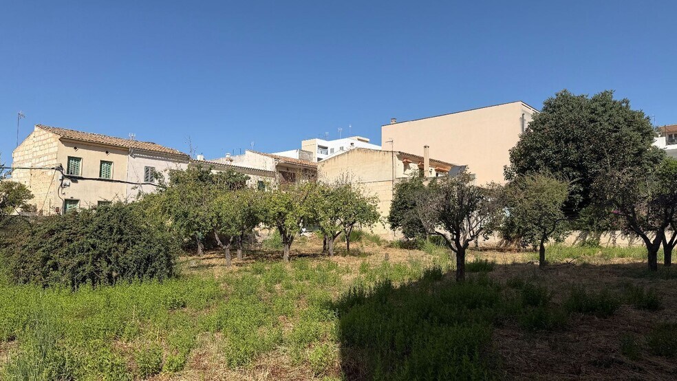 Terreno en Lloseta, Islas Baleares en venta - Foto del edificio - Imagen 2 de 20