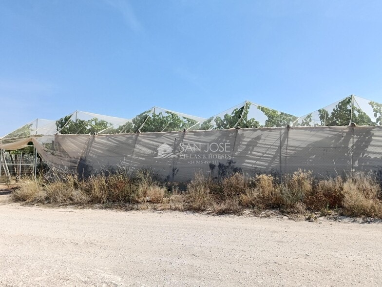 Terreno en La Romana, Alicante en venta - Foto del edificio - Imagen 2 de 6