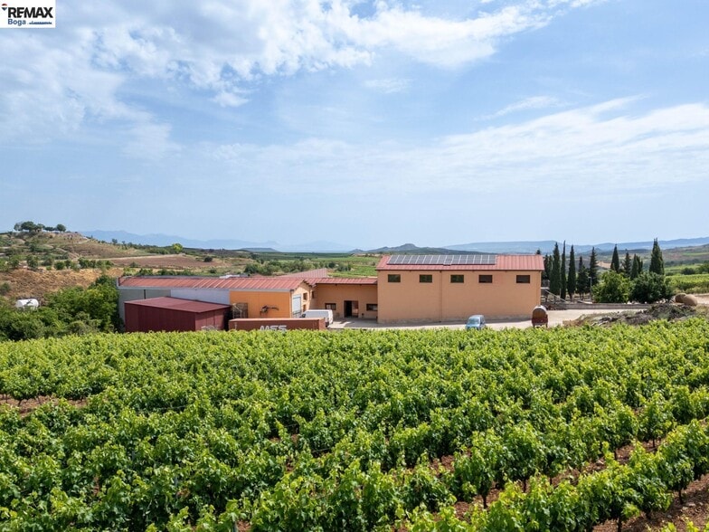 Carretera de Badaran, 36, Cordovín, La Rioja en venta - Foto principal - Imagen 1 de 50