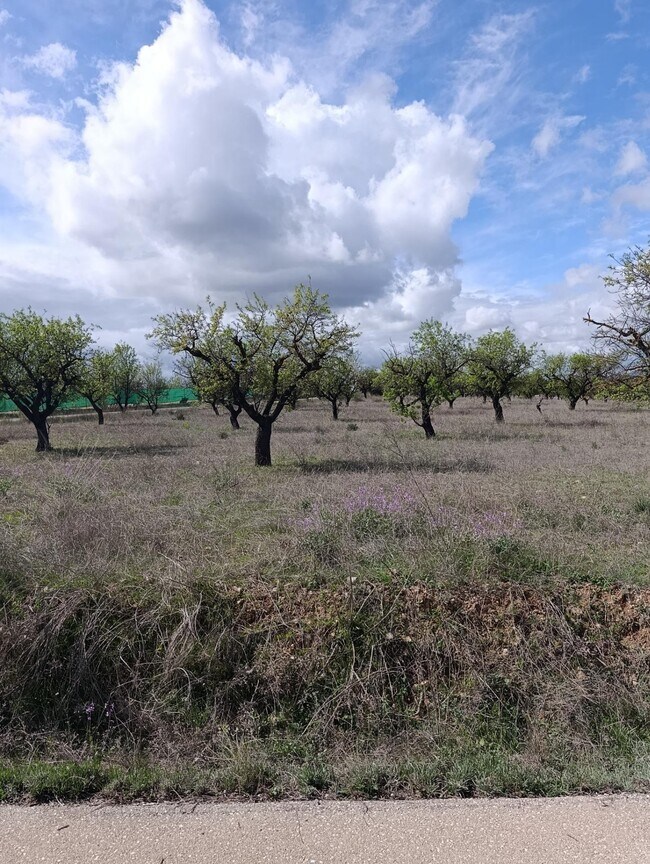 Más detalles de Terreno en venta