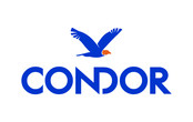 Condor Properties