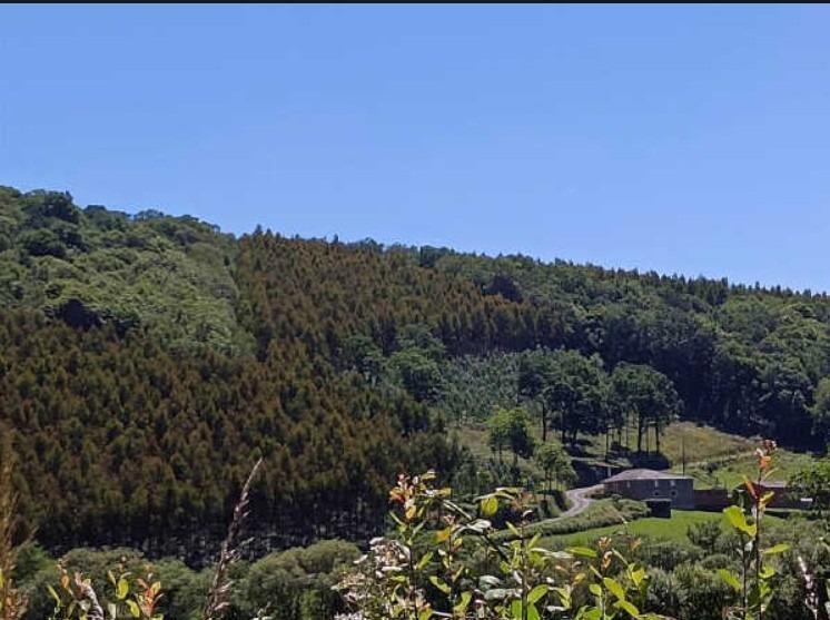 a Fonsagrada, 4, A Fonsagrada, Lugo en venta - Vista aérea - Imagen 2 de 4