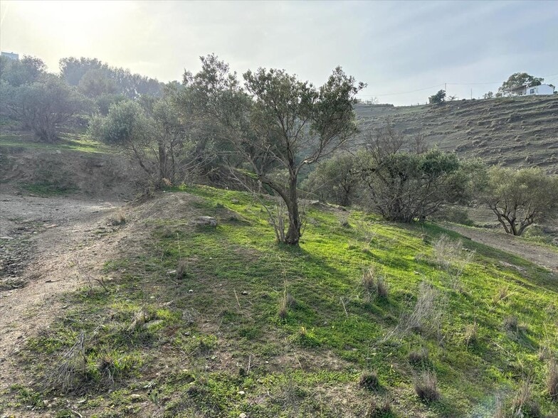 Pago Río Seco, Nerja, Málaga en venta - Foto principal - Imagen 3 de 10