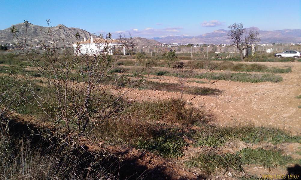 Terreno en Aspe, Alicante en venta Plano del sitio- Imagen 1 de 6