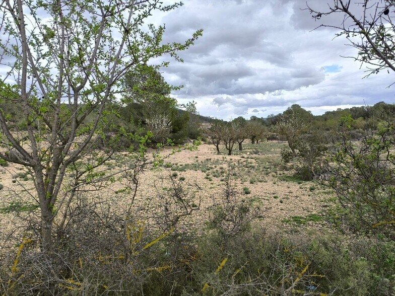 Terreno en MONÒVER, Alicante en venta - Foto principal - Imagen 3 de 12
