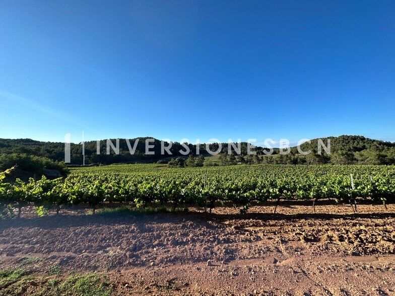 Terreno en Vimbodí i Poblet, Tarragona en venta - Otros - Imagen 2 de 8