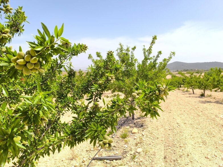 Terreno en Úbeda, Jaén en venta - Foto principal - Imagen 3 de 6