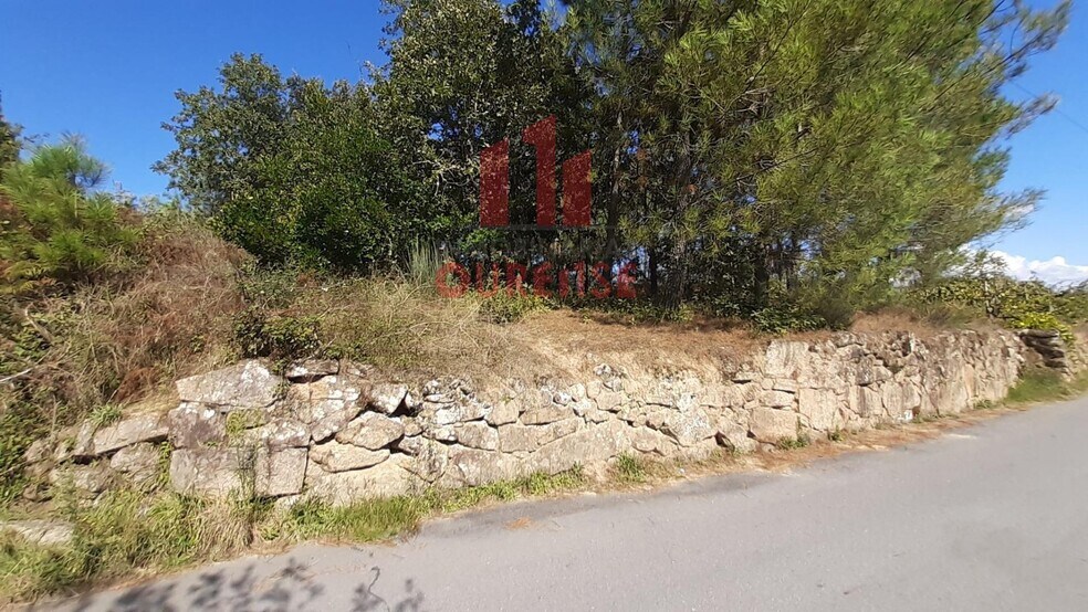 Terreno en Toén, Orense en venta - Foto principal - Imagen 2 de 6