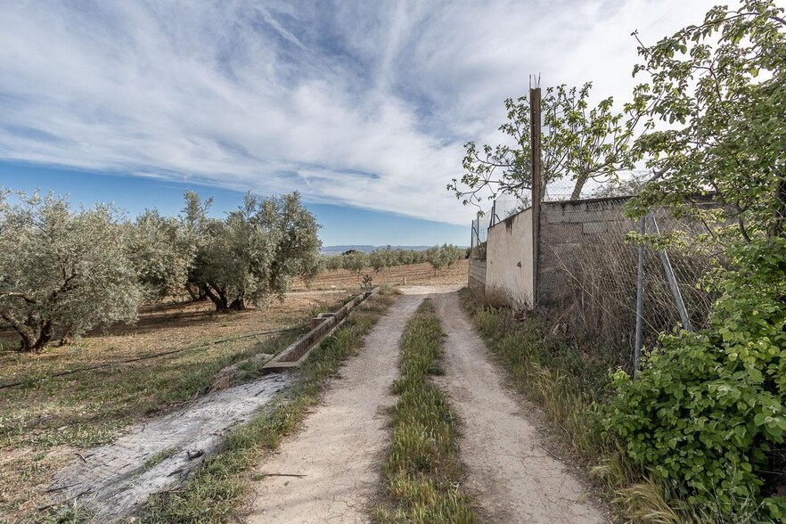 Pago de, Albolote, Granada en venta - Foto del edificio - Imagen 2 de 14