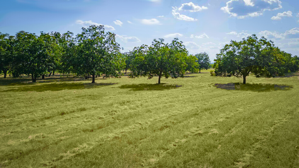 95 Loma Ln, Fredericksburg, TX en venta - Foto del edificio - Imagen 1 de 43