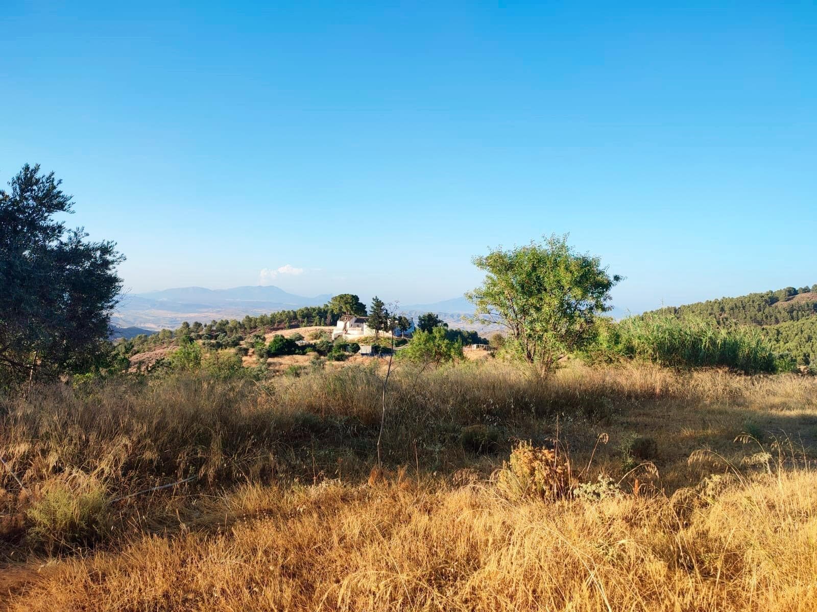 Terreno en Lorca en venta Foto del edificio- Imagen 1 de 31