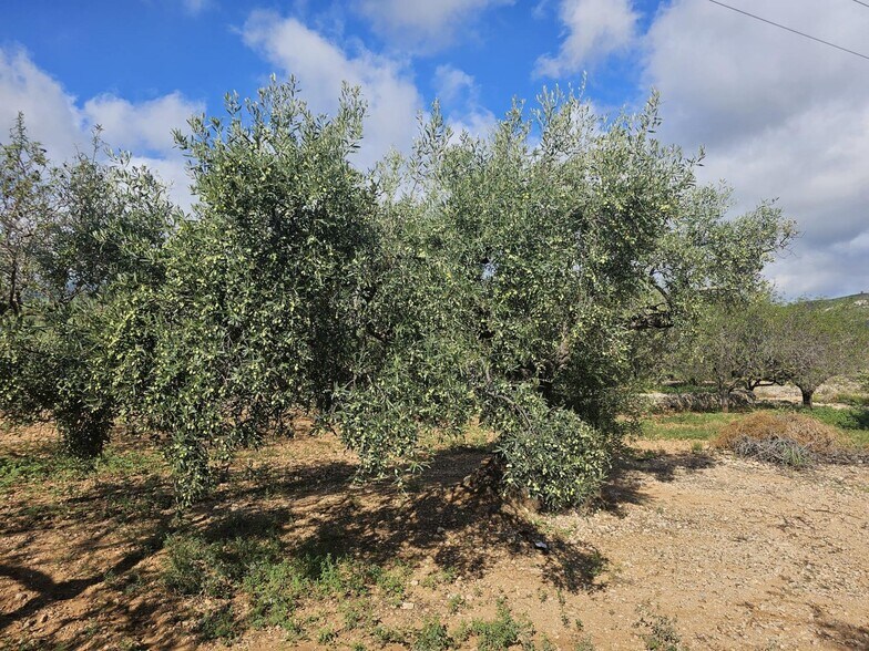 Terreno en LA RÀPITA, Tarragona en venta - Foto principal - Imagen 1 de 4