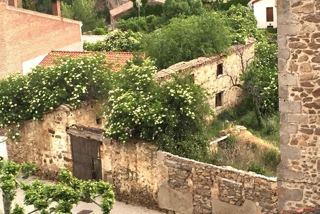 Más detalles de Terreno en venta