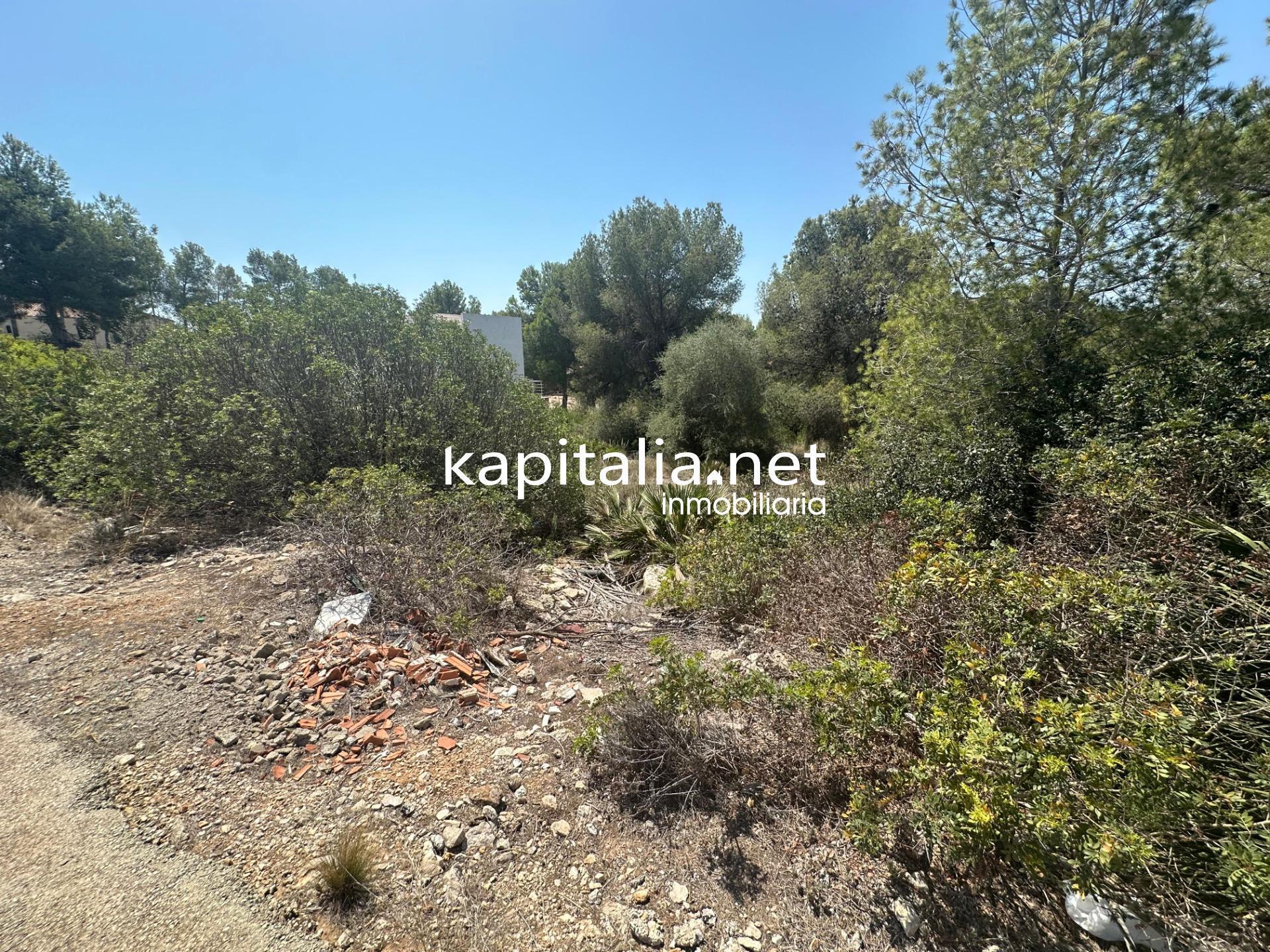 Terreno en Alberic, Valencia en venta Foto principal- Imagen 1 de 6