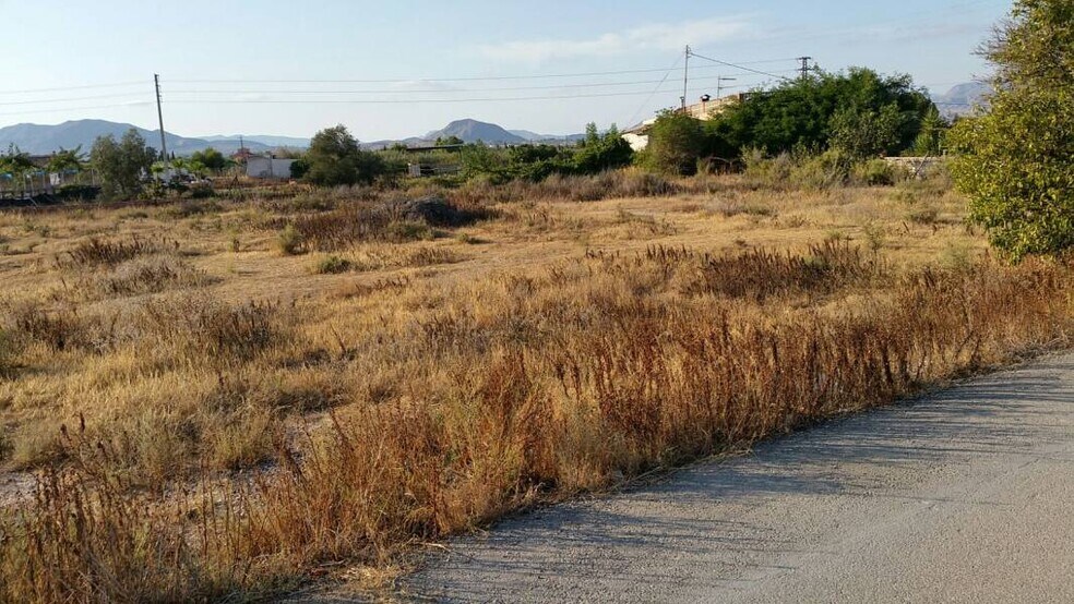 Terreno en Aspe en venta - Foto del edificio - Imagen 2 de 4