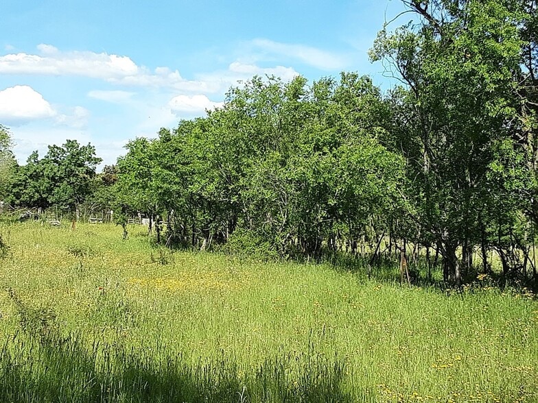 Terreno en El Escorial, Madrid en venta - Foto del edificio - Imagen 3 de 12