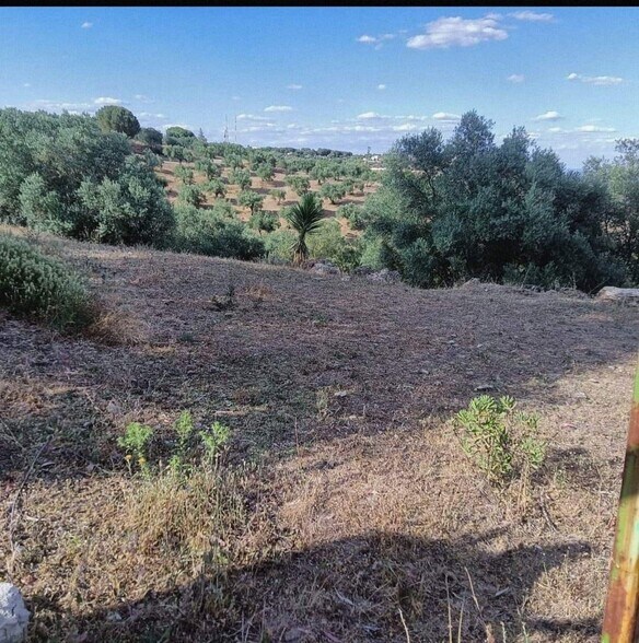 Terreno en Córdoba, Córdoba en venta - Foto del edificio - Imagen 2 de 3