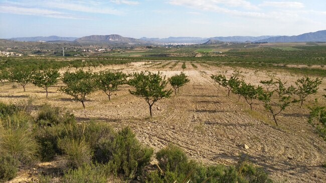 Más detalles de Terreno en venta