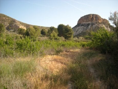 Terreno en Calasparra, Murcia en venta - Foto del edificio - Imagen 3 de 16