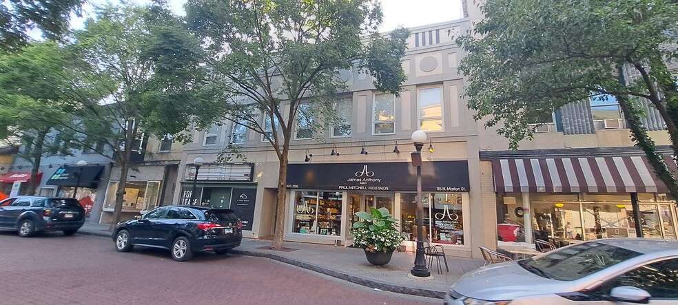 113-115 N Marion St, Oak Park, IL en alquiler - Foto del edificio - Imagen 1 de 3