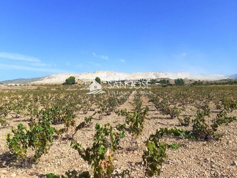 Terreno en Algueña en venta - Foto del edificio - Imagen 2 de 2