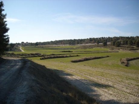 Terreno en Moratalla, Murcia en venta - Foto del edificio - Imagen 3 de 50