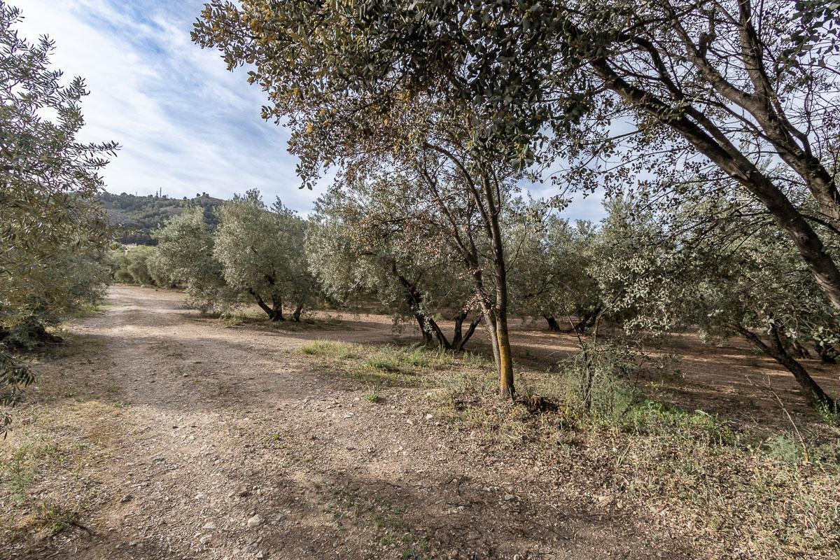 Pago de, Albolote, Granada en venta Foto principal- Imagen 1 de 13