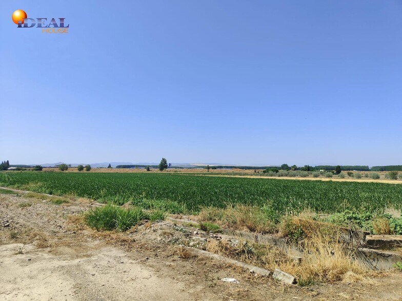 Carretera de Pinos Puente, Atarfe, Granada en venta - Vista aérea - Imagen 3 de 7